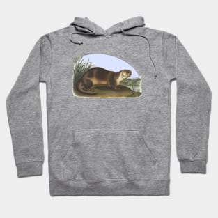 Otter Wildlife Illustration Hoodie